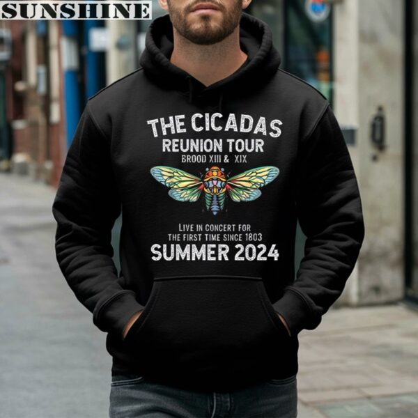 Cicadas Summer Scream Reunion Tour 2024 Tee Shirt 4 hoodie