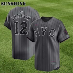 New York Mets 2024 City Connect Jerseys 1 7