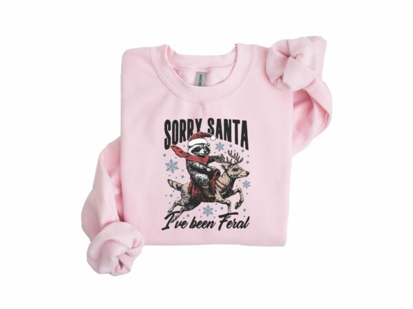 i have Been Feral Sweatshirt Santa Claus Feral Shirt Sorry Santa Shirt Christmas Feral Girl Shirt Santa Feral Sweatshirt Santa Shirt 6